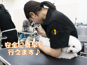 １年生、カットもがんばっています！